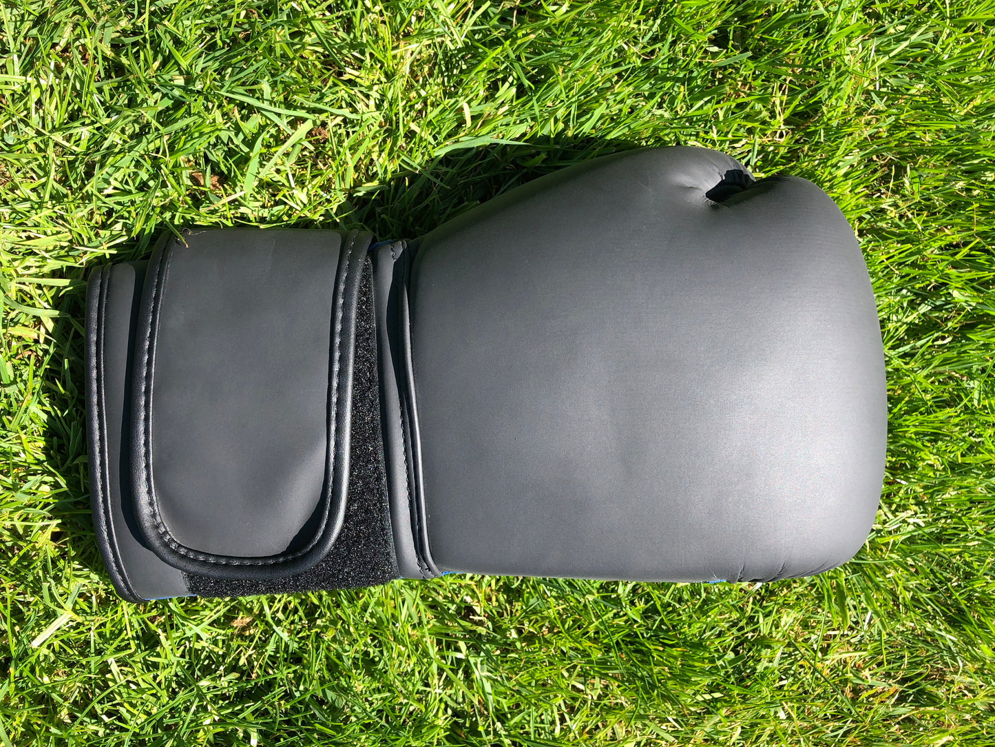 Ring Side Boxing Gloves (12 OZ)