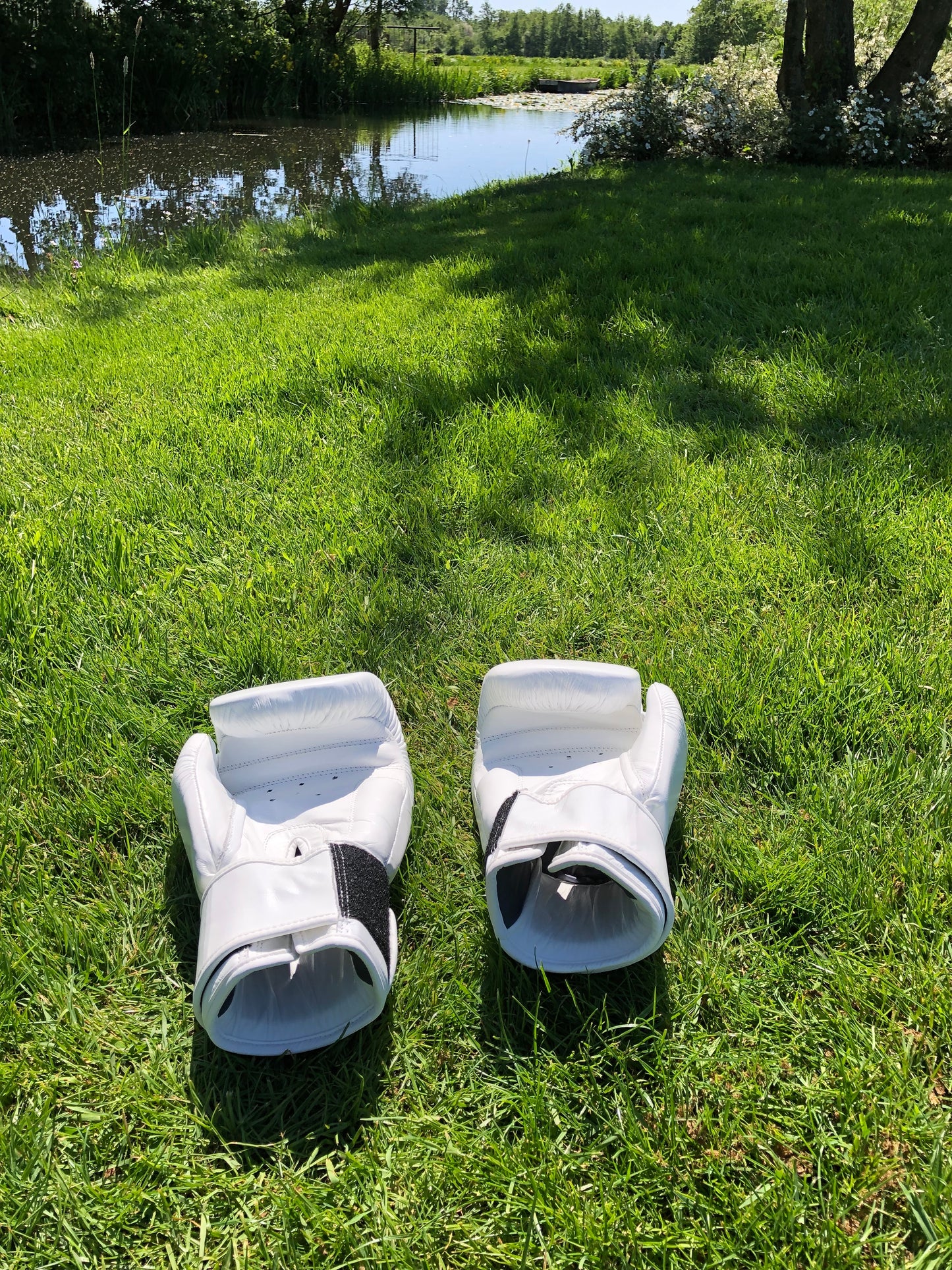 Twins Thai Boxing Gloves (10 OZ)