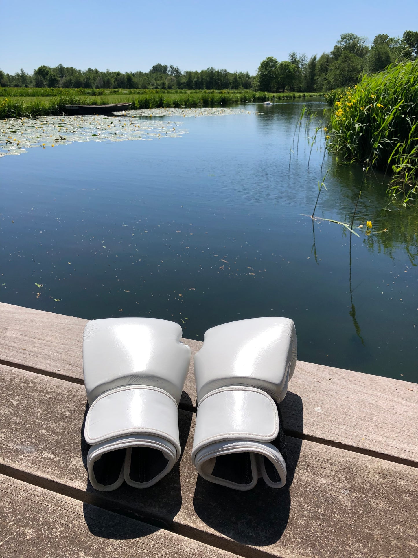 Twins Thai Boxing Gloves (10 OZ)