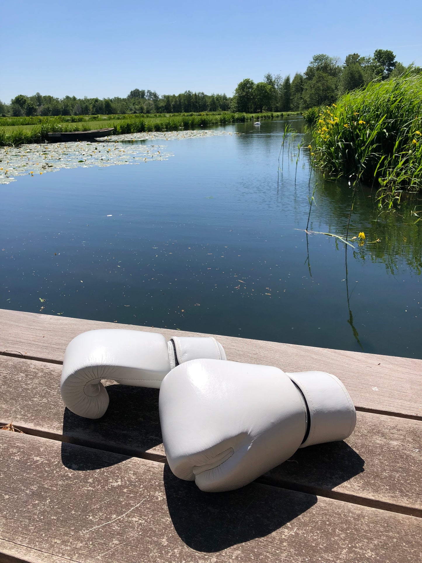 Twins Thai Boxing Gloves (10 OZ)