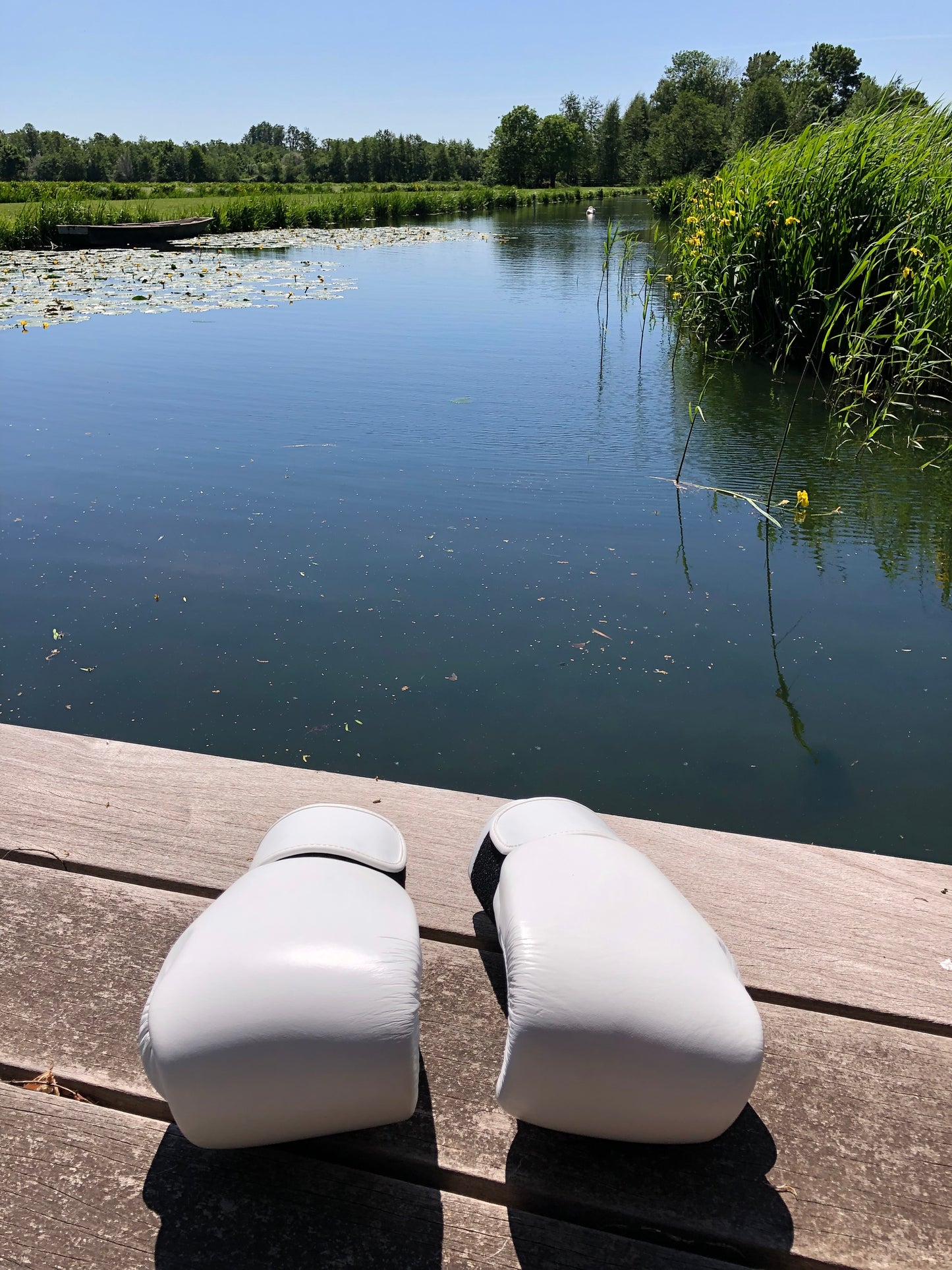 Twins Thai Boxing Gloves (10 OZ)