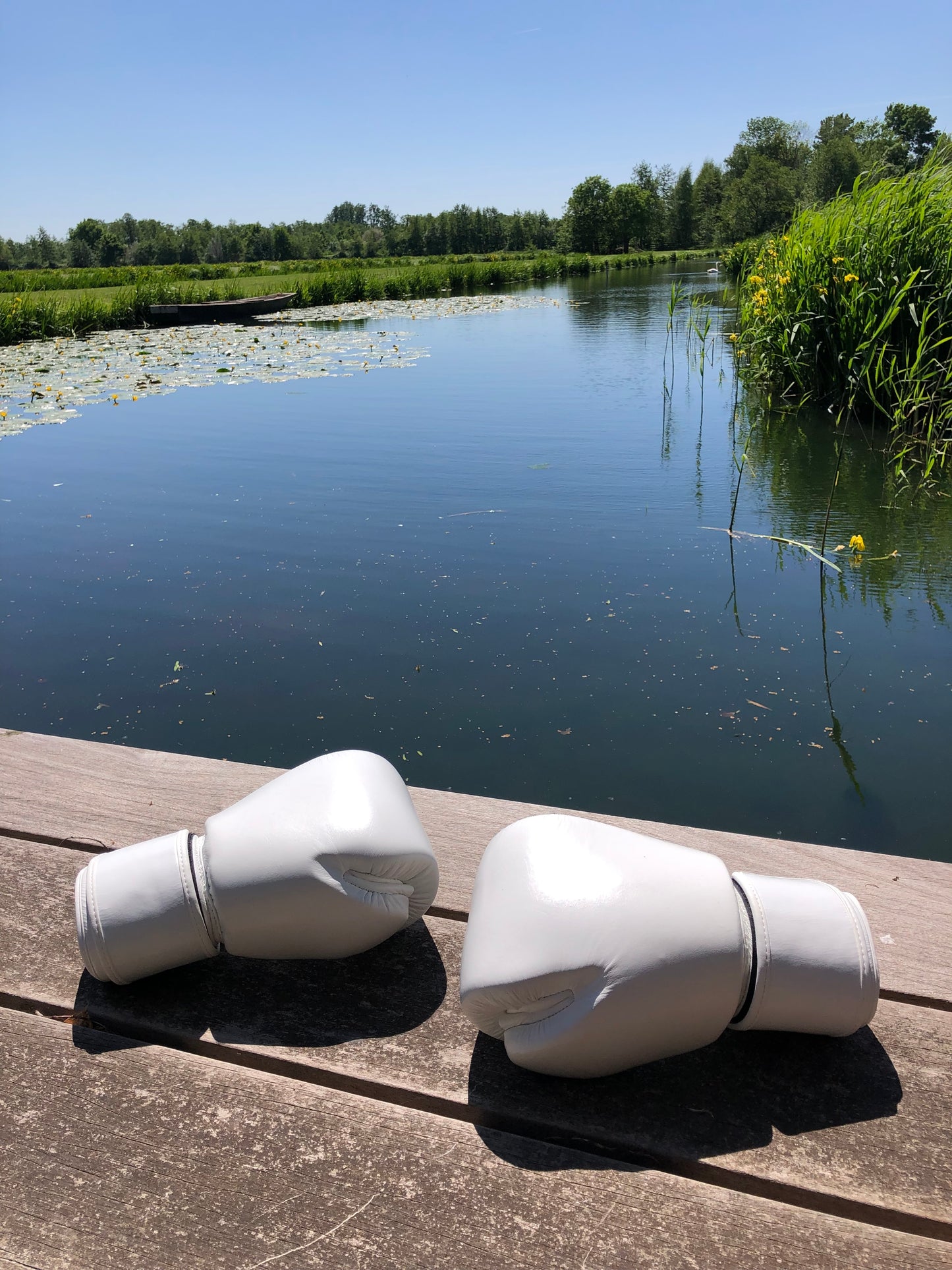 Twins Thai Boxing Gloves (10 OZ)