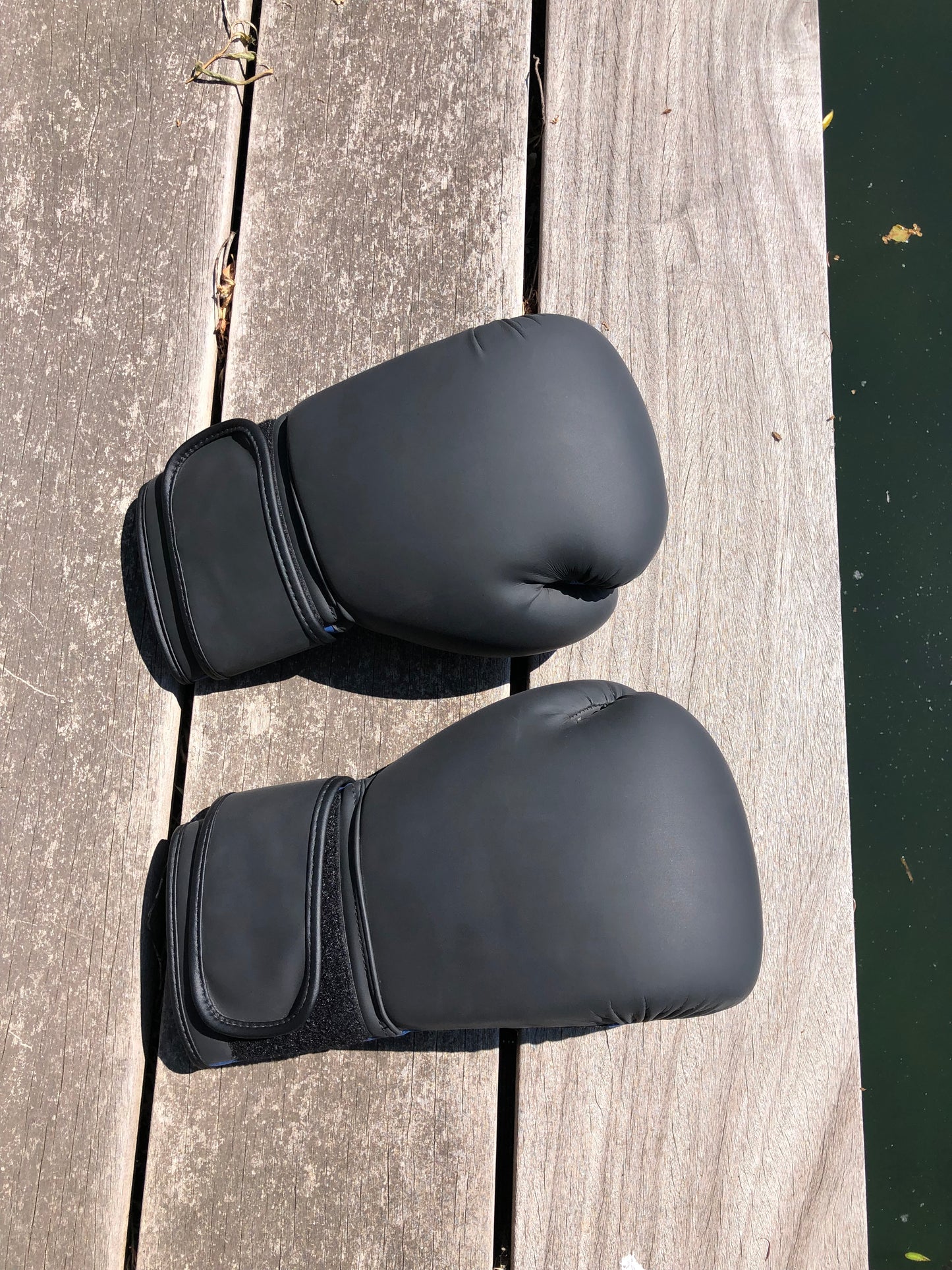 Ring Side Boxing Gloves (12 OZ)