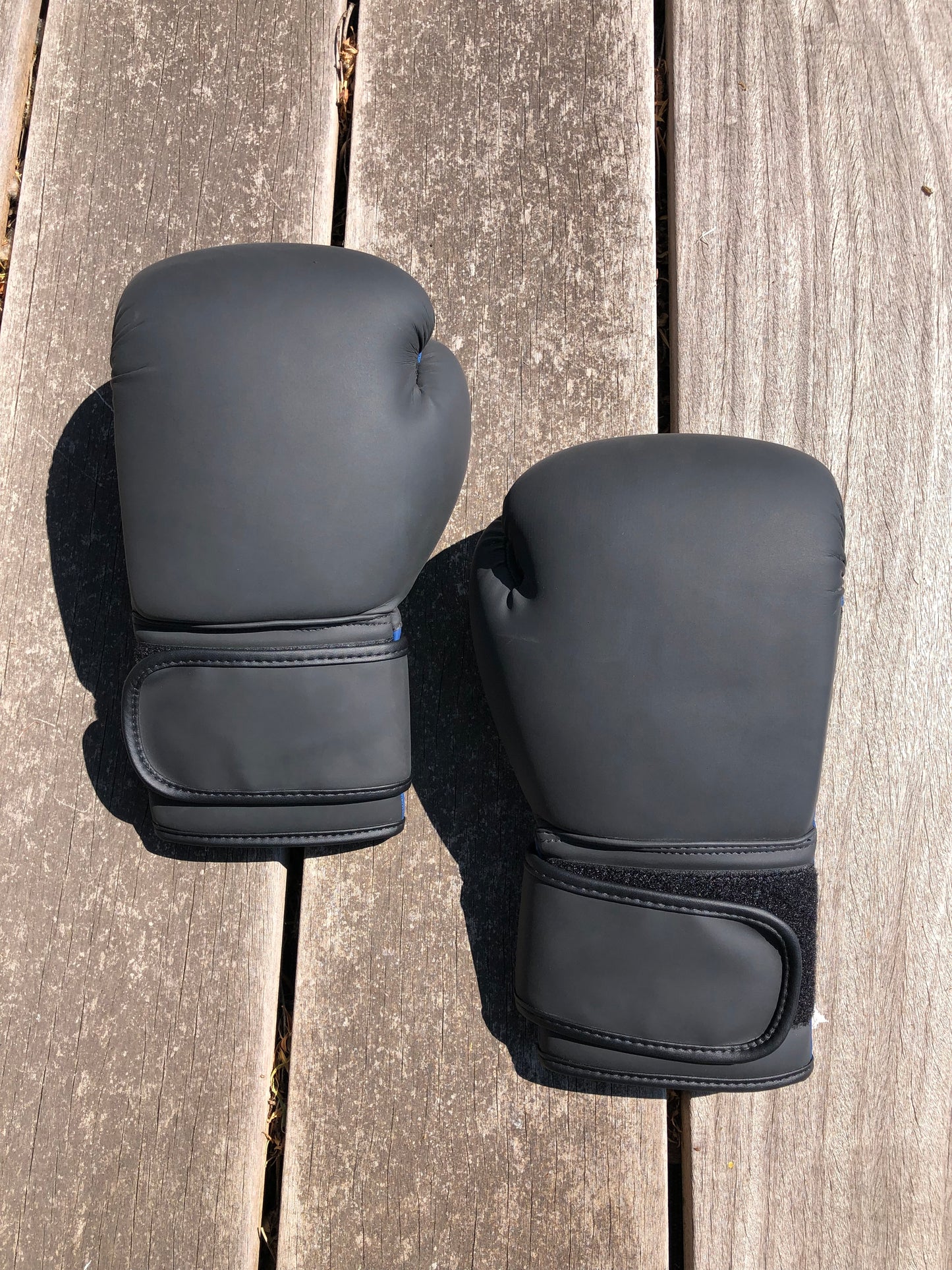 Ring Side Boxing Gloves (12 OZ)