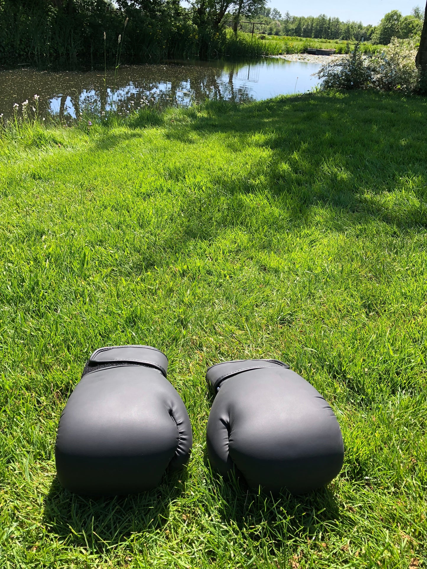 Ring Side Boxing Gloves (12 OZ)