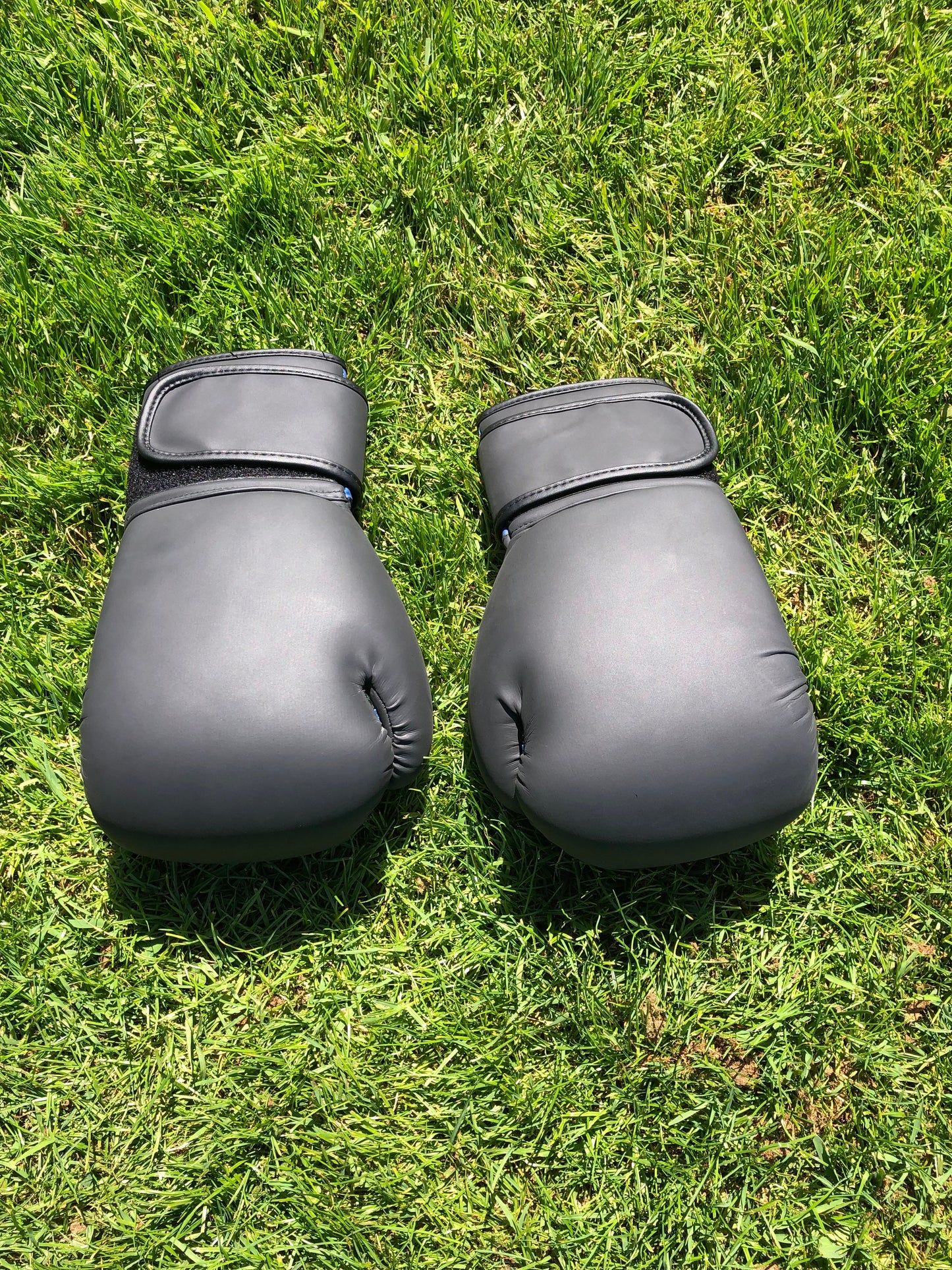 Ring Side Boxing Gloves (12 OZ)