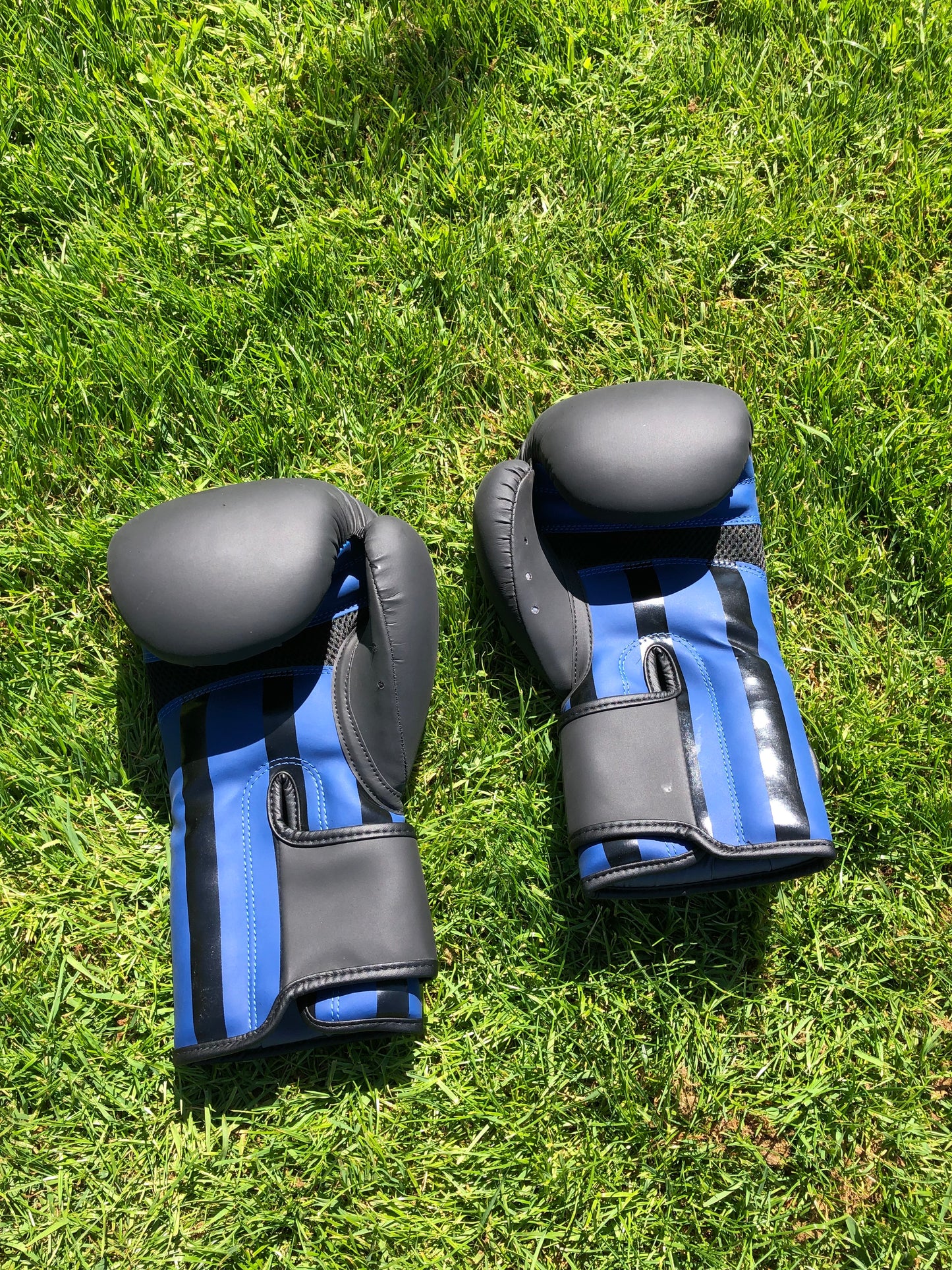 Ring Side Boxing Gloves (12 OZ)