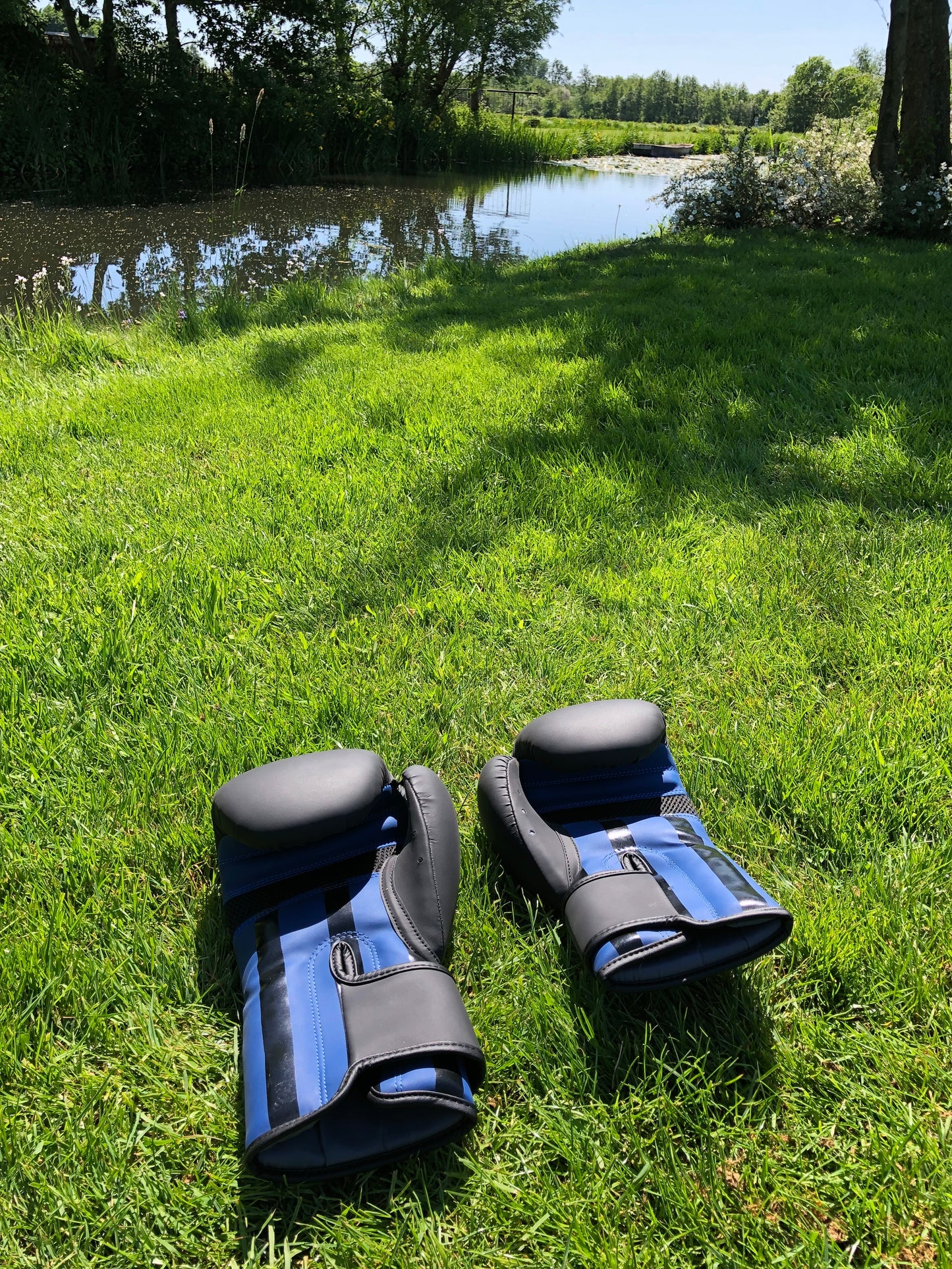 Ring Side Boxing Gloves (12 OZ)