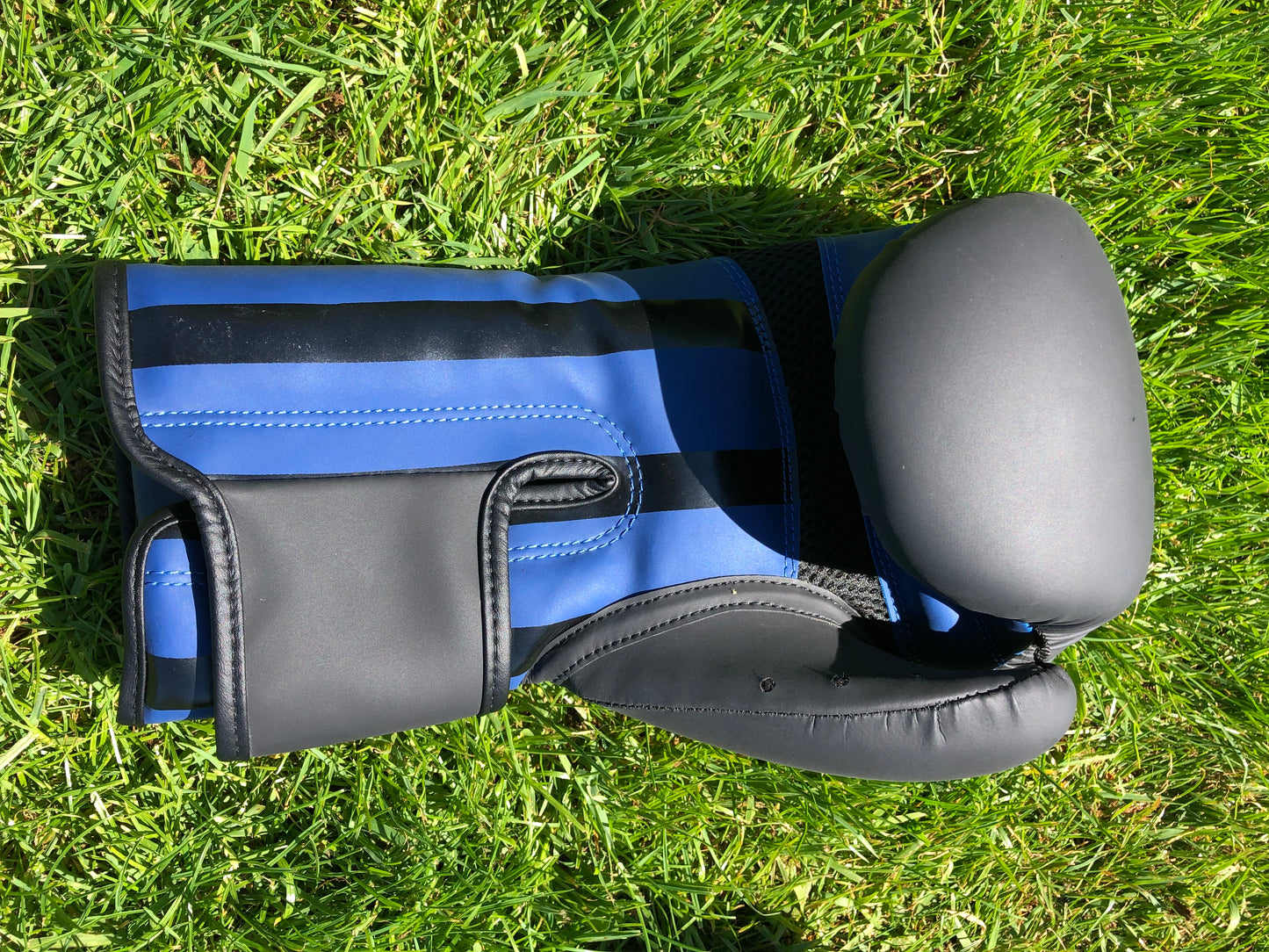 Ring Side Boxing Gloves (12 OZ)