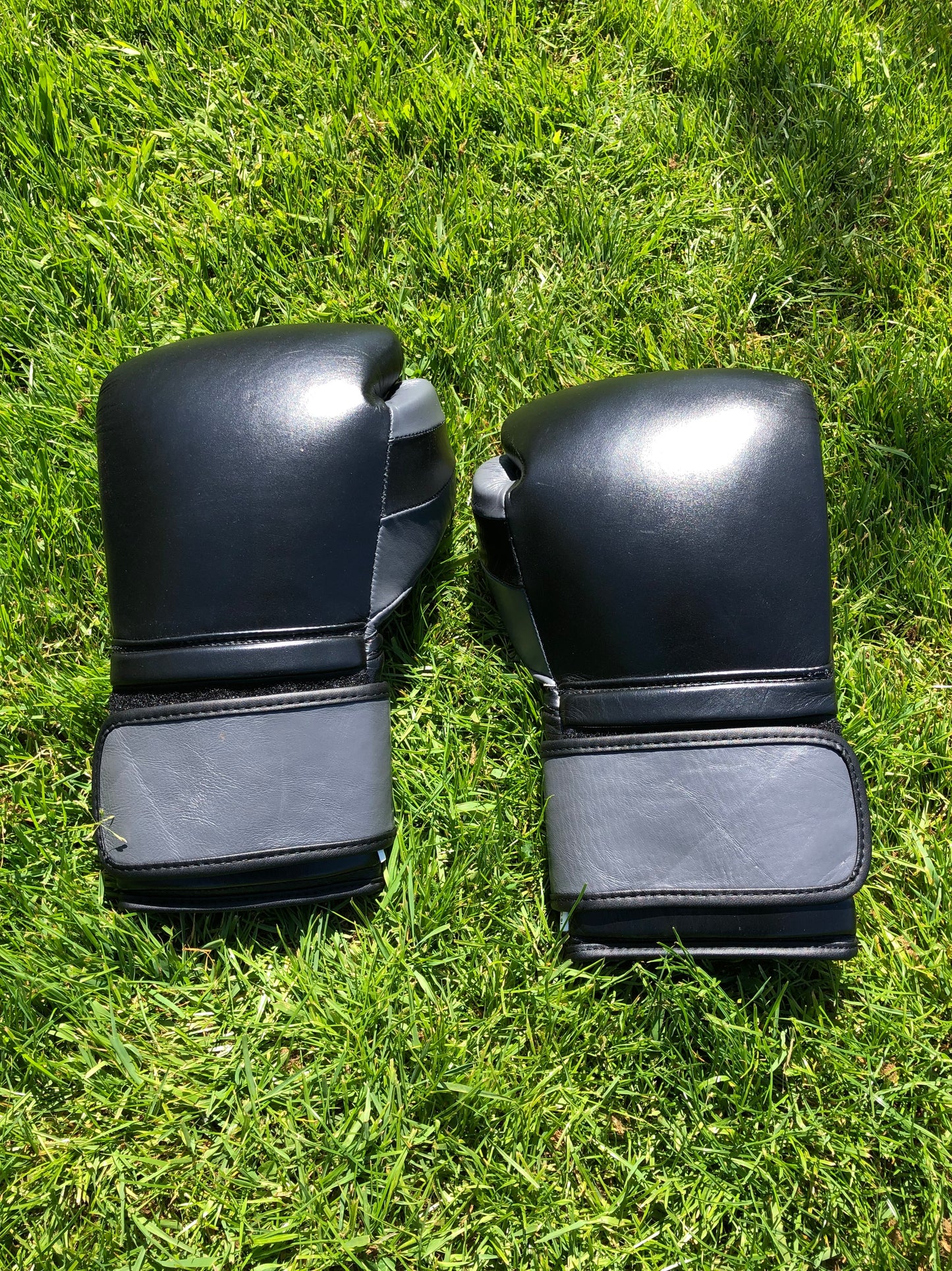 Ring Side Boxing Gloves (16 OZ)