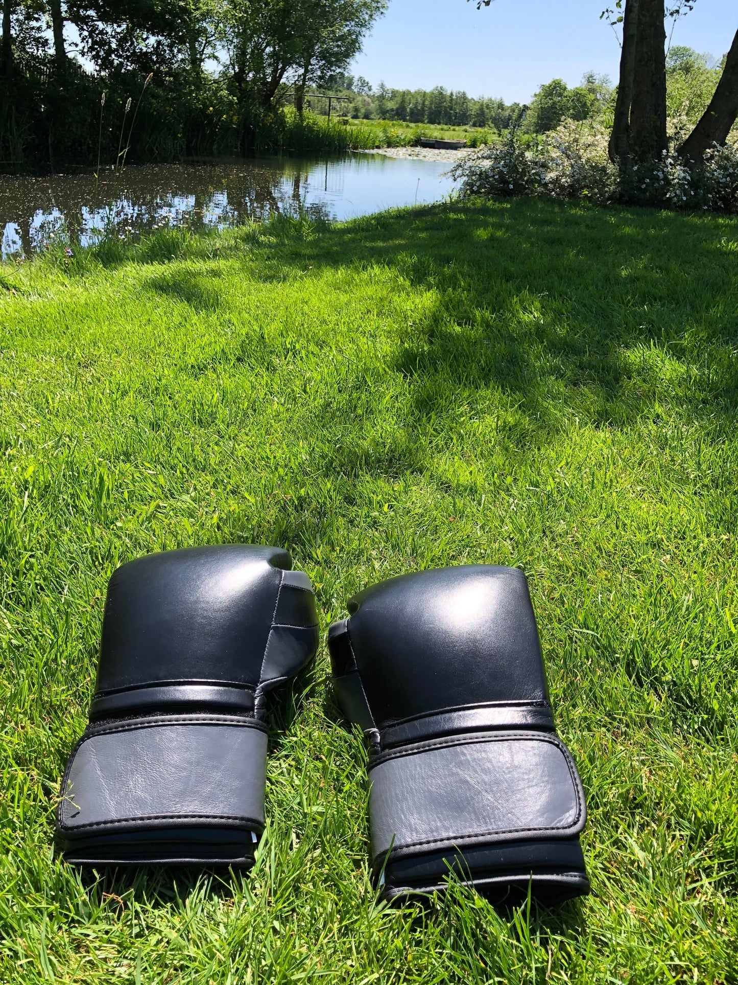 Ring Side Boxing Gloves (16 OZ)