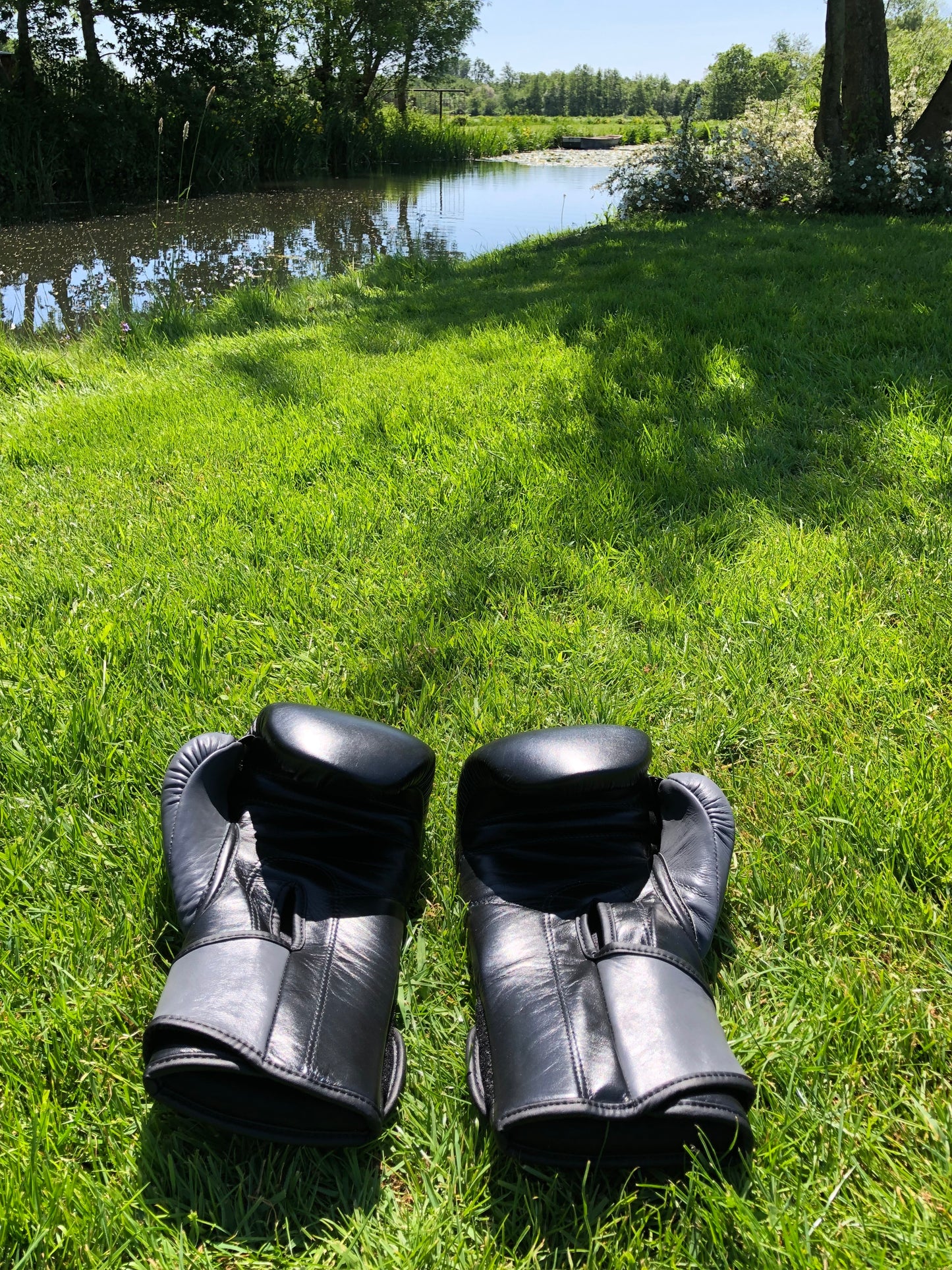 Ring Side Boxing Gloves (16 OZ)