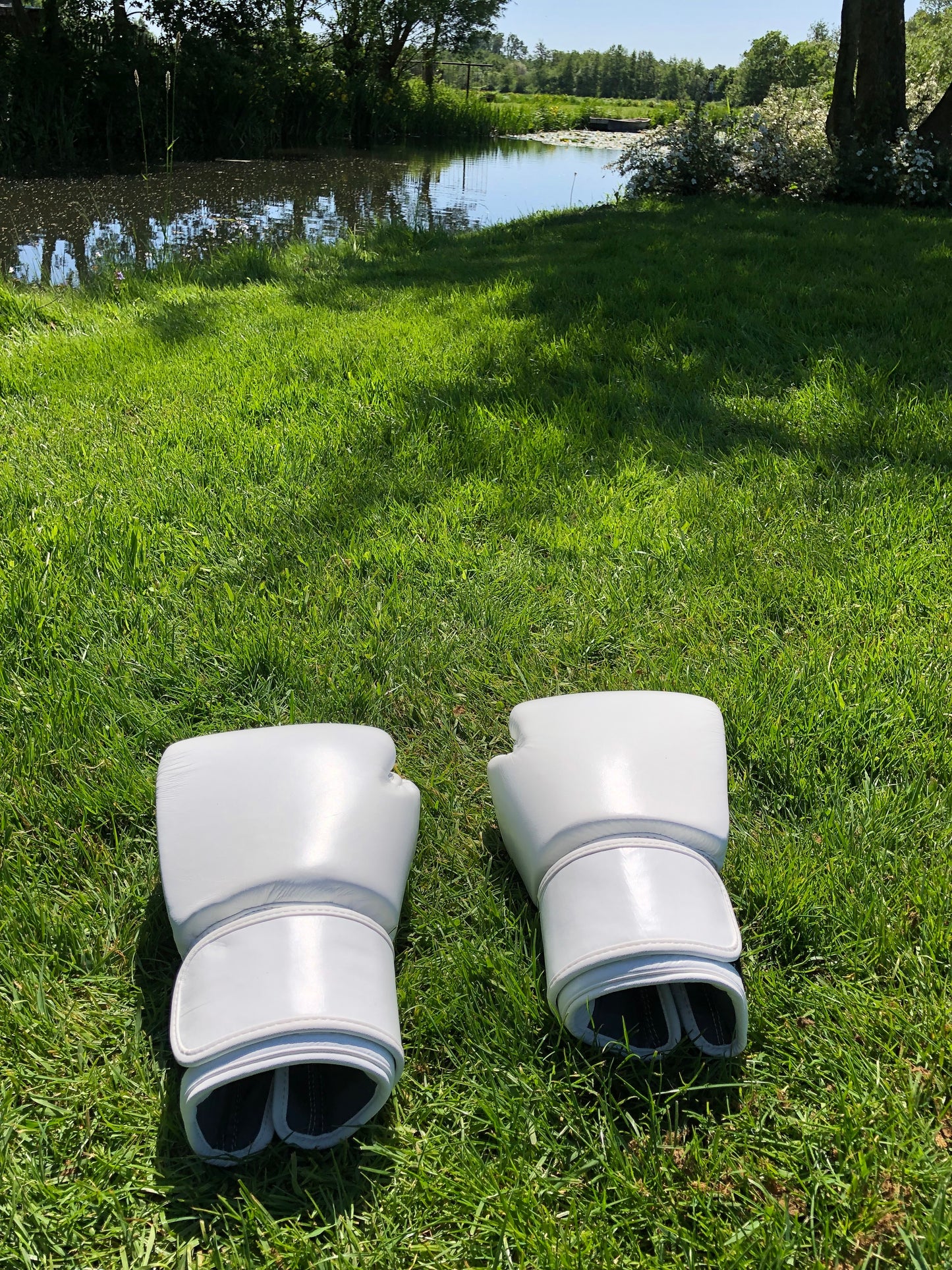 Twins Thai Boxing Gloves (10 OZ)