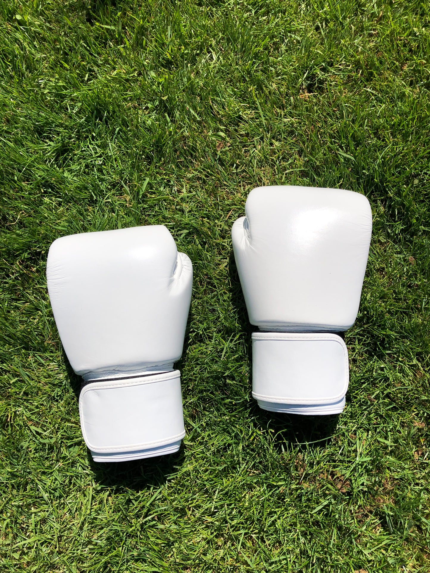 Twins Thai Boxing Gloves (10 OZ)
