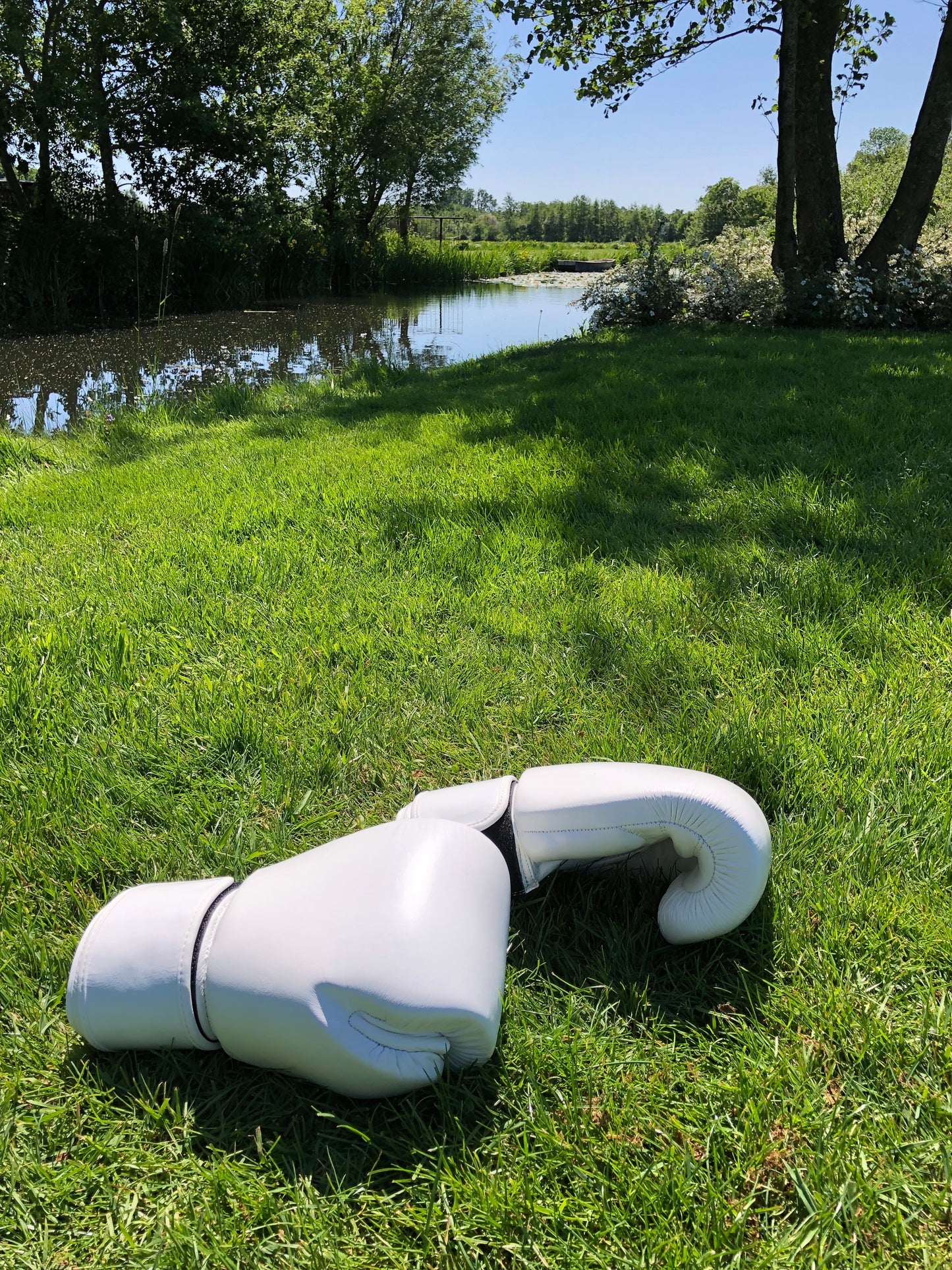 Twins Thai Boxing Gloves (10 OZ)