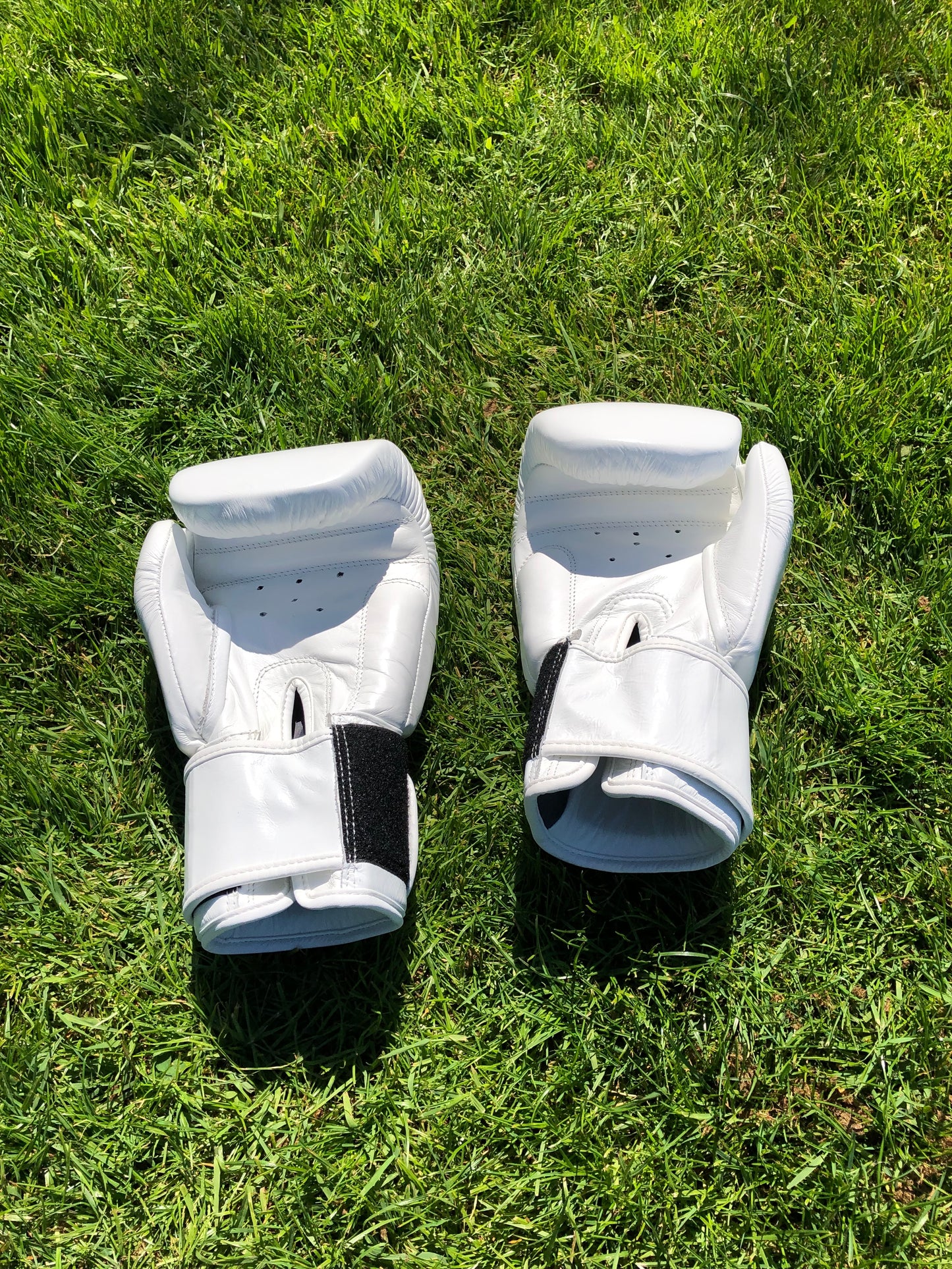 Twins Thai Boxing Gloves (10 OZ)