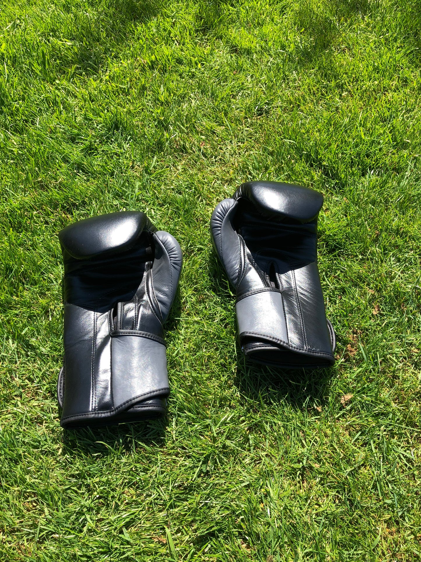 Ring Side Boxing Gloves (16 OZ)